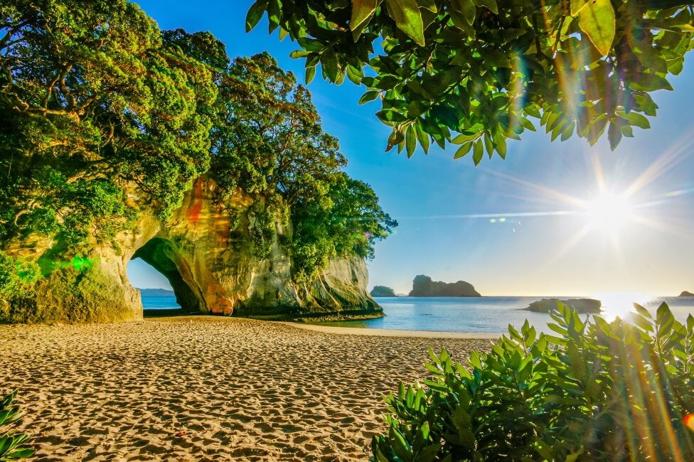 a beach in new zealand