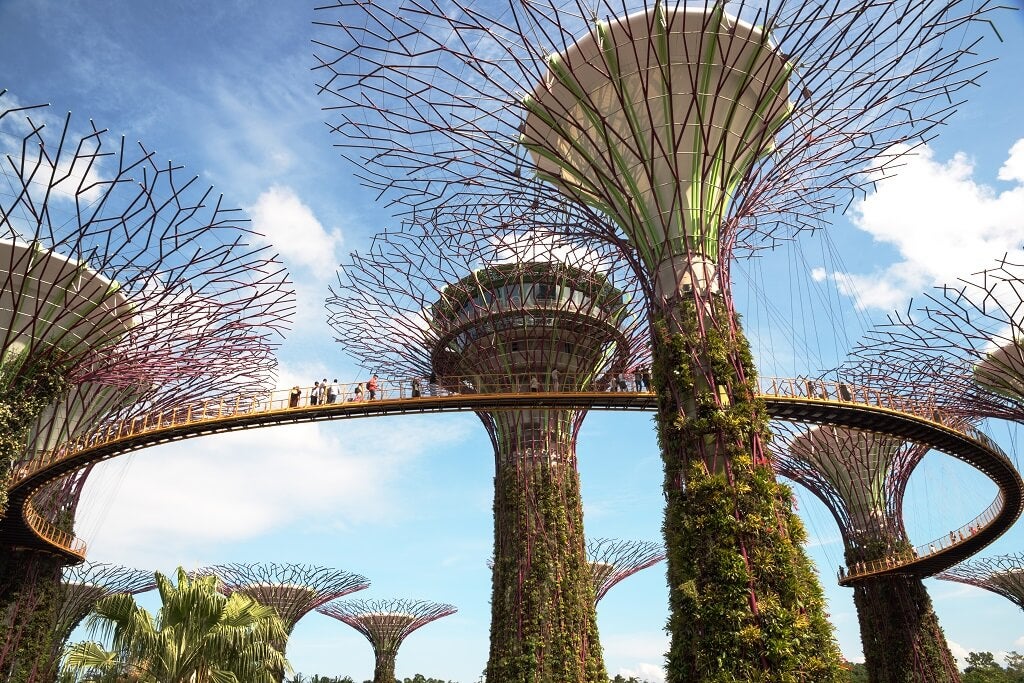 Singapore supertrees