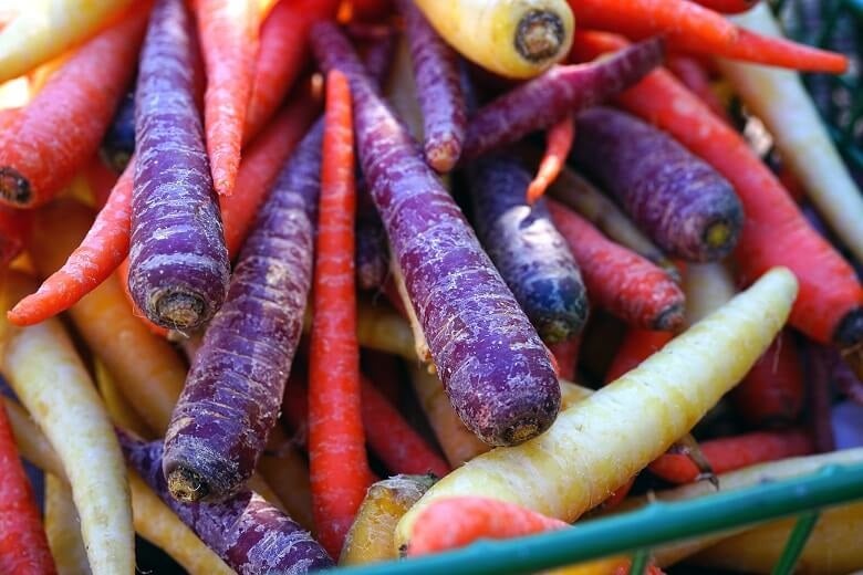 Colourful carrots