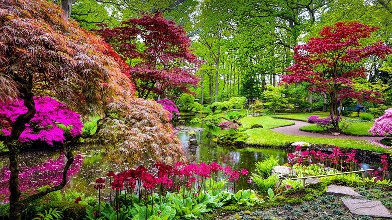 view of japanese garden