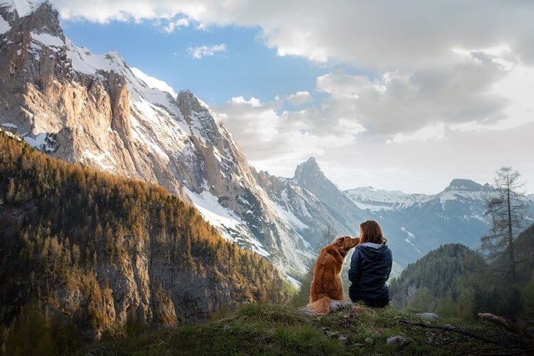 A traveller and their pet overlooking mountains