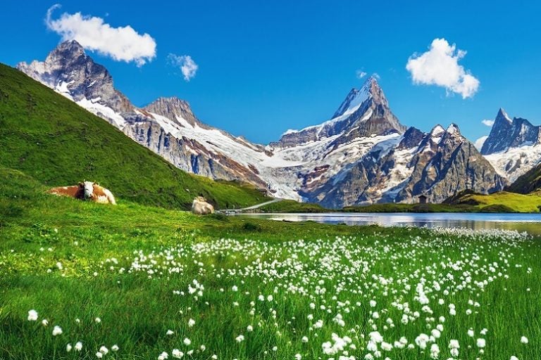 21 Things to Know Before Moving to Switzerland MoveHub